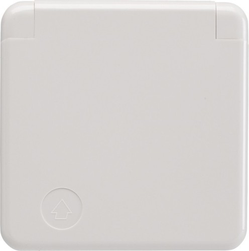 Berker Steckdose pws SCHUKO- 421109 - 421109 günstig online kaufen
