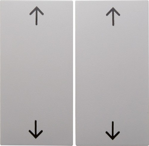 Berker Wippe pws/gl Symbol Pfeil 16448989 - 16448989