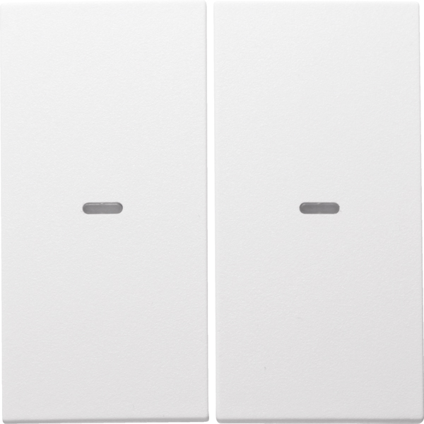 Berker Tast-Abdeckung 2f. pws/mt 80960399