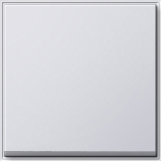 Gira Wippe Wechselsch. rws (WG UP) 029666 günstig online kaufen