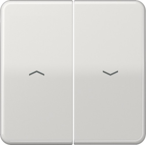 Jung Wippe Symbole lgr für Taster CD 595 P LG - CD595PLG