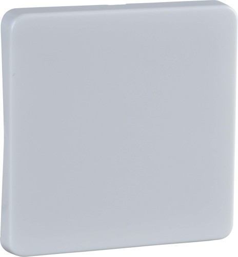 Elso Wippe rw f. Taster/Schalter 213604 - 213604