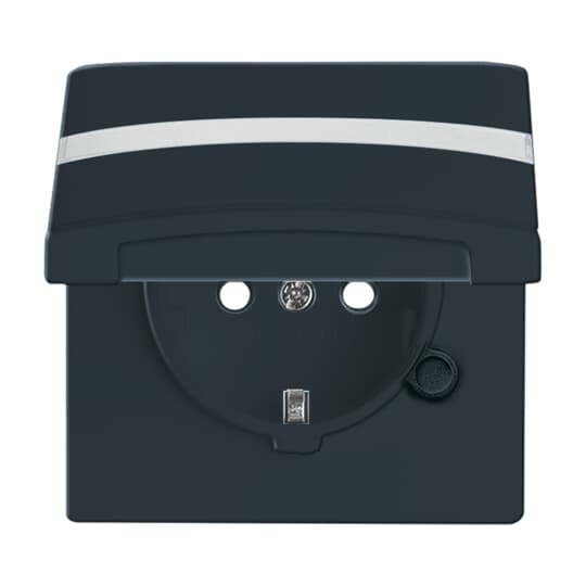 Busch-Jaeger Schuko-Steckdoseneinsatz IP44 anthrazit 20 EUGKBN-35-101 günstig online kaufen