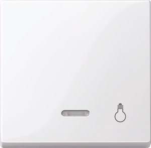 Merten Wippe Kontr.Fenster aws/gl Aufdruck Licht 435925 - 435925