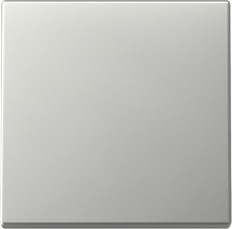Gira Wippe Edelstahl 3296600 - 3296600