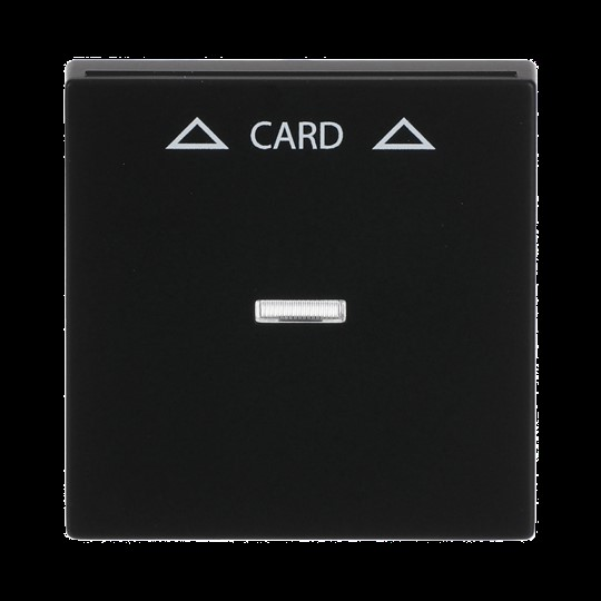 Busch-Jaeger Zentralscheibe sw mt fÃ¼r Cardschalter 1792-885