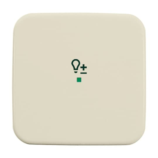 Busch-Jaeger Wippe 1-fach, Symbol Licht weiÃŸ 6234-10-212
