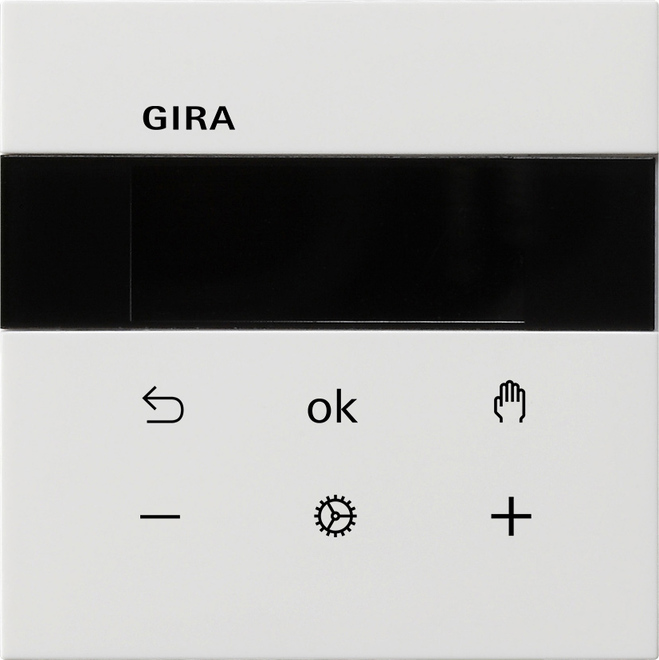 Gira RTR Display rws 5393112