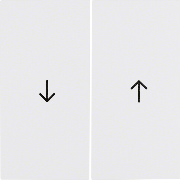 Berker Wippe pws/gl Symbol Pfeil 16258989 günstig online kaufen