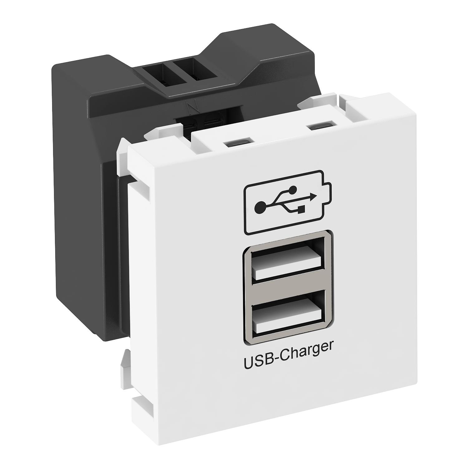 OBO Bettermann Vertr USB Ladegerät m. 2.1A Ladestrom MTG-2UC2.1 RW1
