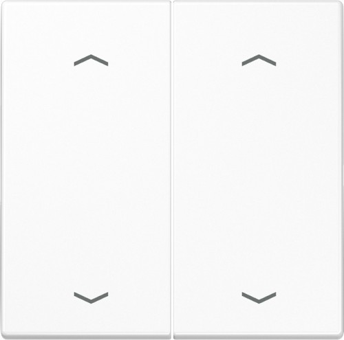 Jung Wippe Symbole aws für Taster 2-fach LS 995 MP WW - LS995MPWW