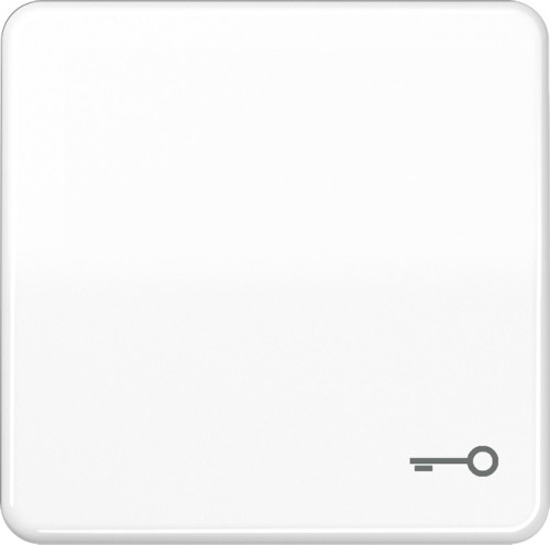 Jung Wippe Symbol TÜR aws für Taster CD 590 T WW - CD590TWW