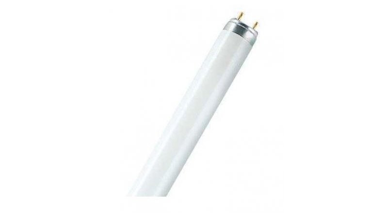 Osram T8-Fluorescent Lamp L 36W/840 - 4050300517872