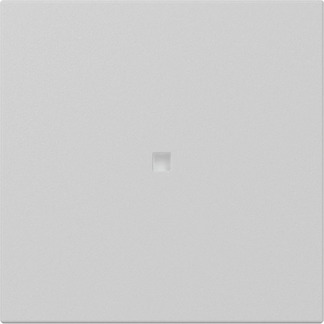 Gira Wippe gerade Kontrollf. Grau m 3490015