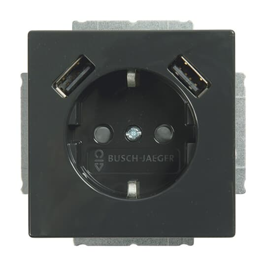 Busch-Jaeger SCHUKO-2x USB Steckdose 20 EUCB2USB-81 günstig online kaufen