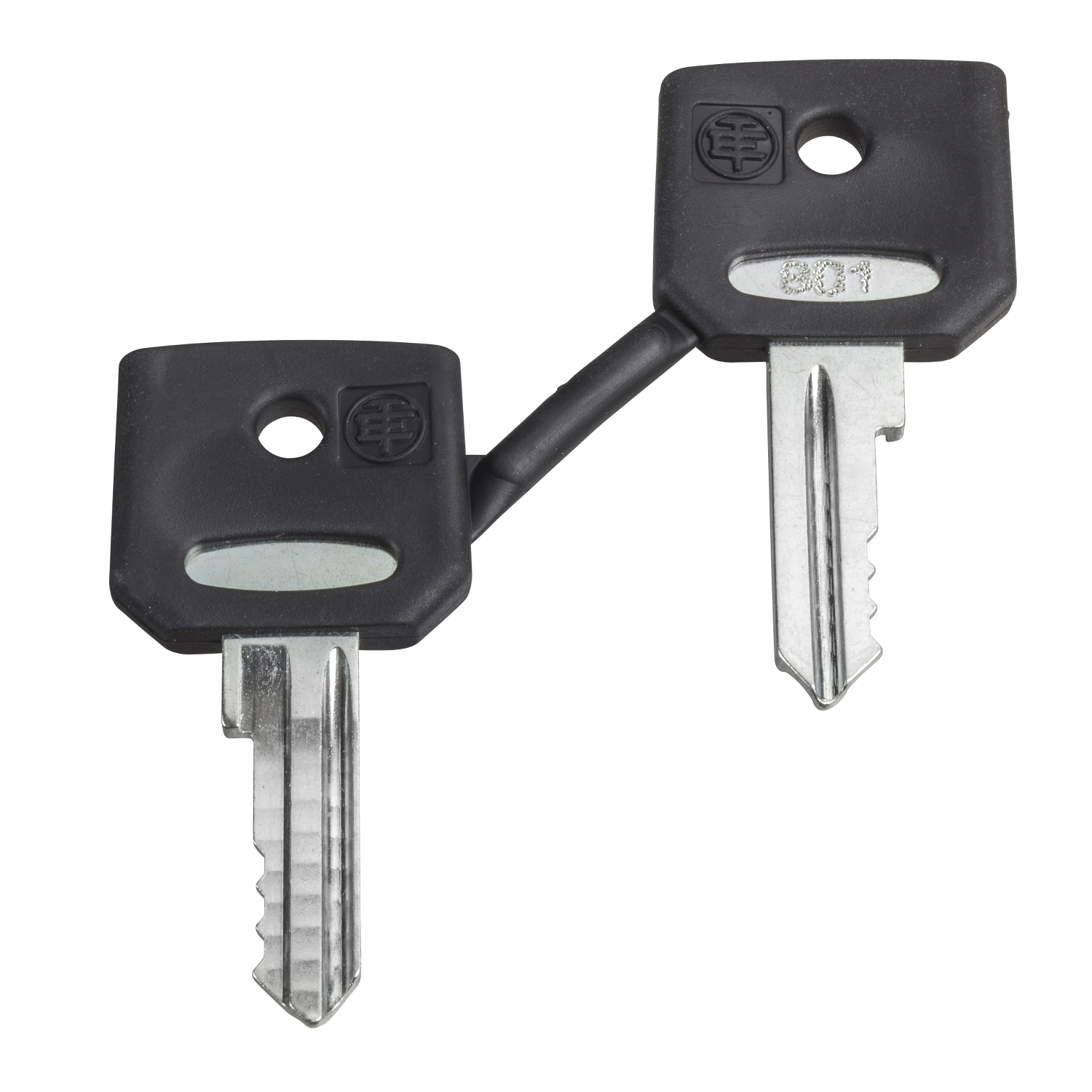 Schneider Electric Schlüssel ZBG458A
