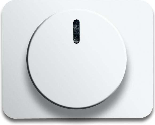 Busch-Jaeger Zentralscheibe stws gl für Drehdimmer 6540-24G - 2CKA006599A23 günstig online kaufen