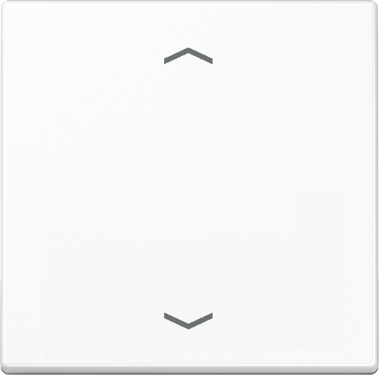 Jung Wippe Symbole aws für Taster A 590 P WW - A590PWW günstig online kaufen
