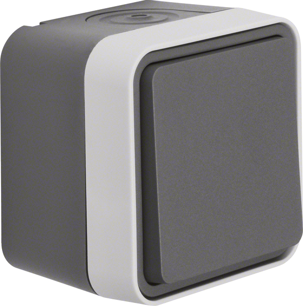 Berker Wechselschalter AP grau 30763505 günstig online kaufen