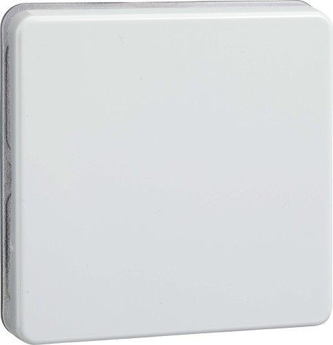 Elso Wippe rw f.Taster/Schalter 233604 - 233604
