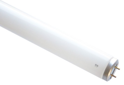 Scharnberger+Hasenbein Leuchtstofflampe T12 38x590mm G13 20W 68322 - 68322