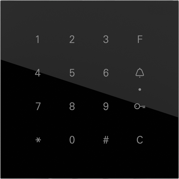 Gira Keyless In Codetastat urmodul Schwarz 5550000