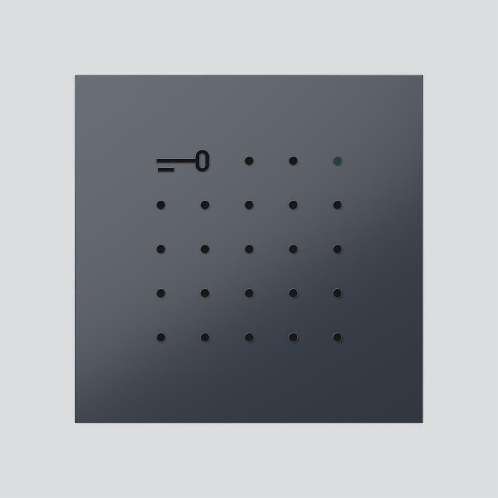 Siedle&Söhne Electronic-Key-Lese-Modul anthrazitgrau ELM 600-0 AG