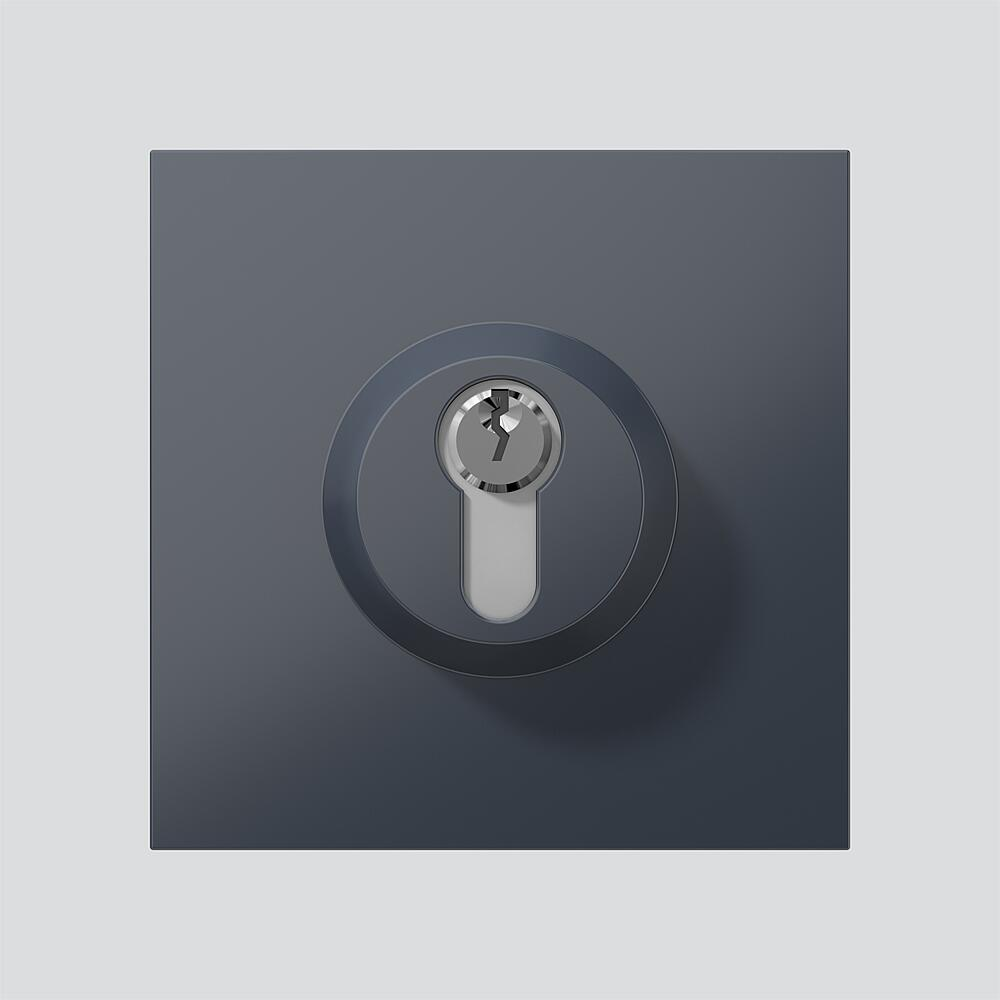 Siedle&Söhne Schloss-Modul anthrazitgrau SM 611-01 AG