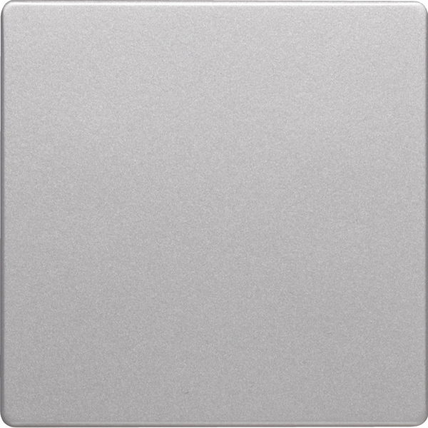 Berker Wippe alu/lack 16206084 günstig online kaufen