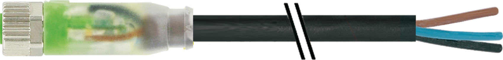Murrelektronik Steckverbinder M8 Bu. auf fr. Ende 7000-08111-6300500