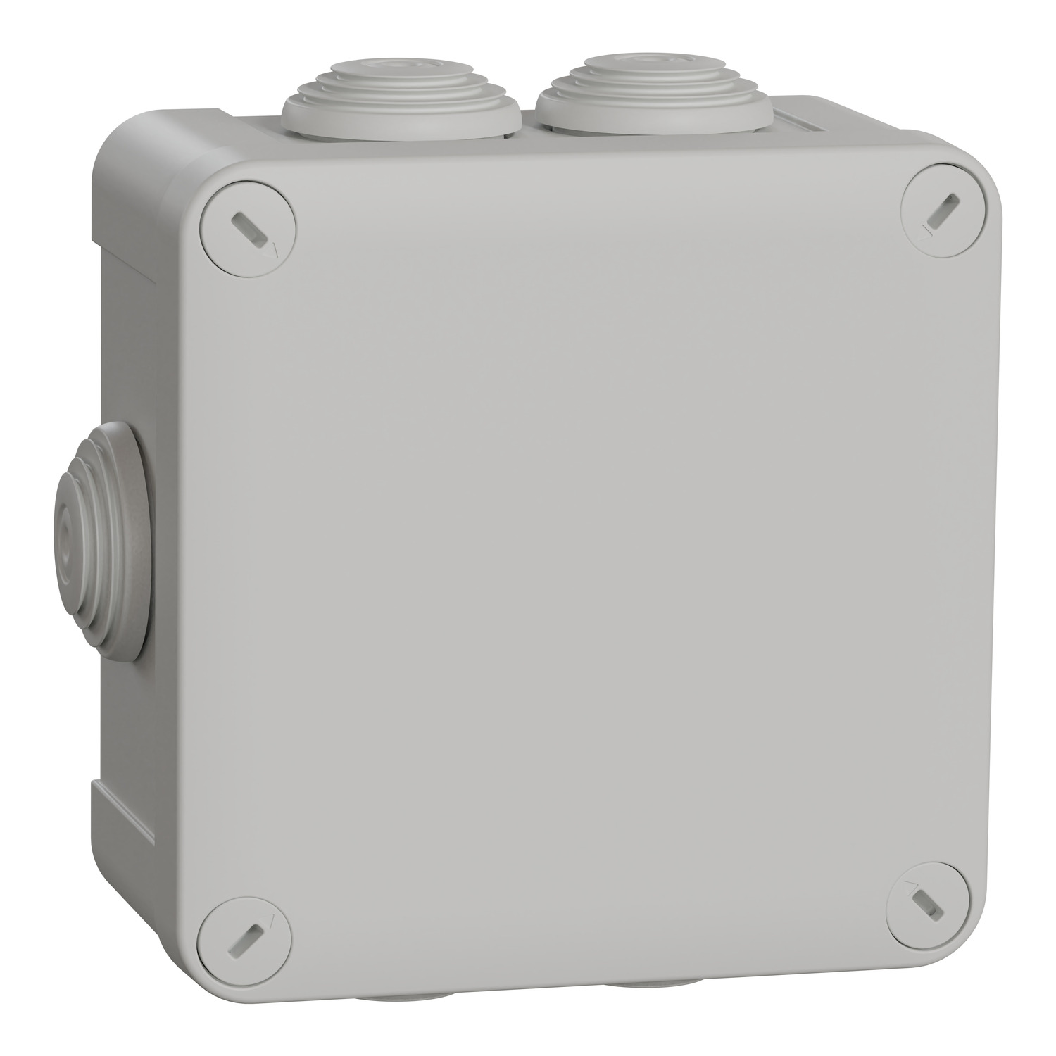 Schneider Electric Abzweigdose ENN05005