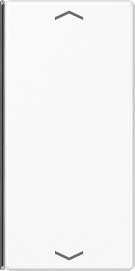 Jung Taste 2-fach aws mit Symbolen A 402 TSAP WW