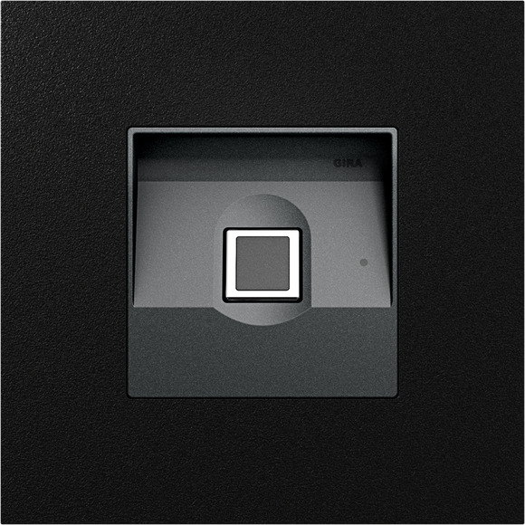 Gira KeyIessIn Fingerprintmodul sw matt 5551925