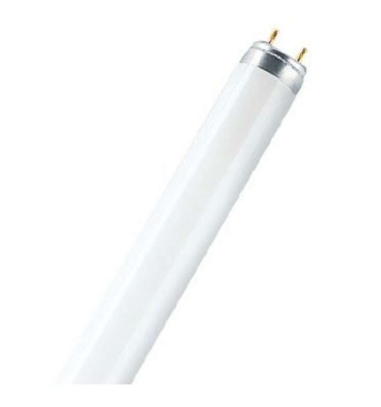 Osram compact fluorescent DULUX D/E 26W/840 G24Q-3 - 4050300298917