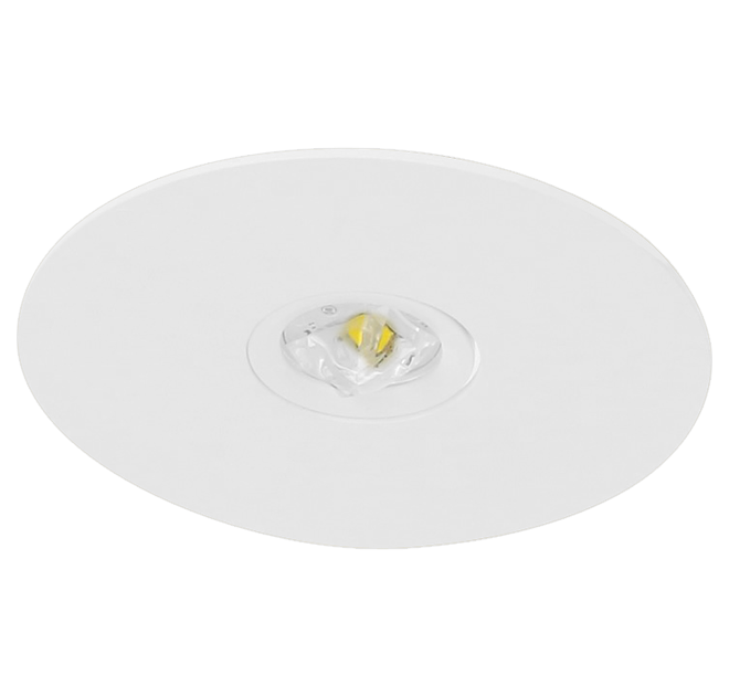 Fischer LED-Sicherheitsleuchte opt.Mesh/NB Add.on BRE319M