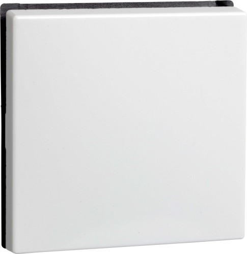 Elso Wippe rws f.Uni.Schalt./Tast. 273604 - 273604