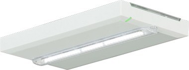 Ceag Notlichtsysteme Rettungszeichenleuchte 400lm AT L, 1-8H FT2SE400ATL18 - FT2SE400ATL18