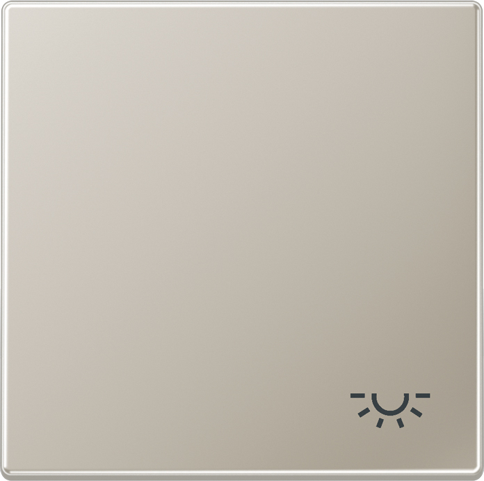 Jung Wippe Symbol LICHT eds für Taster ES 2990 L
