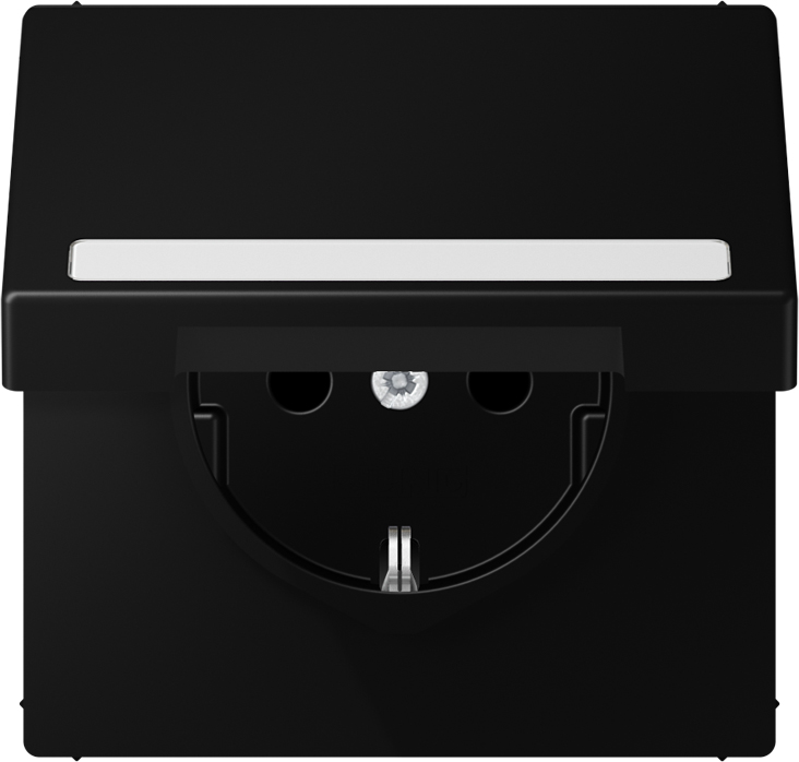 Jung SCHUKO Steckdose m.Schriftf.u.Klappd. LS 1520 BFNAKL SWM günstig online kaufen