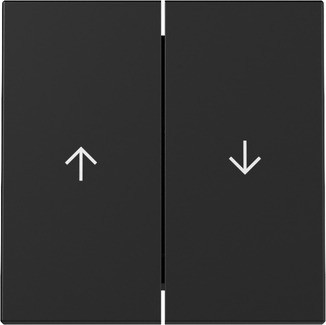 Gira Wippe 2f Pfeil Schwarz m 3294005 - 3294005
