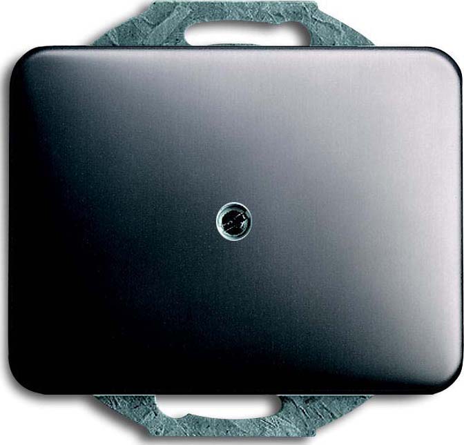 Busch-Jaeger Zentralscheibe pla Blindabdeckung 1742-20 - 2CKA001753A1118 Busch-Jaeger Zentralscheibe pla Blindabdeckung 1742-20 - 2CKA001753A1118