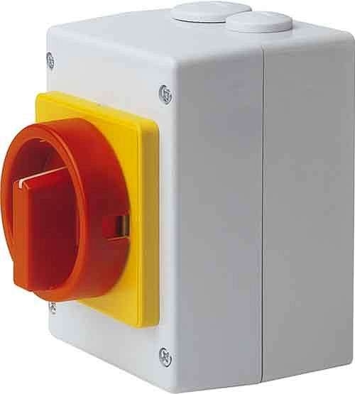 Elektra Tailfingen Haupt-Not-Aus-Schalter S1 013/HS-T8/2-D-MRG