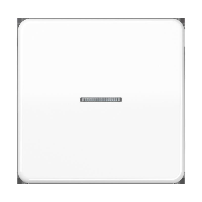 Jung Taster 1fach HOME BT CD 17101 WW