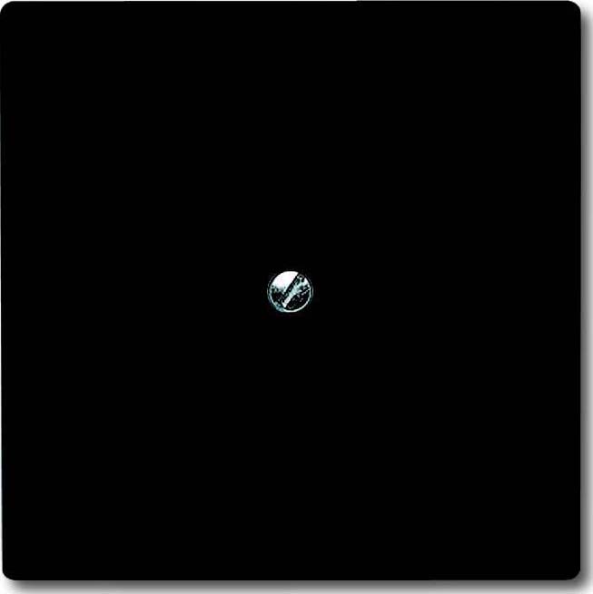 Busch-Jaeger Blindzentralscheibe anth mit Tragring 2138-35 - 2CKA001710A192 günstig online kaufen