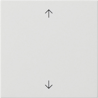 Gira Wippe 1-fach ReinweiÃŸ 538903
