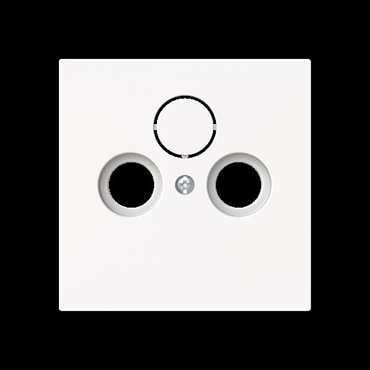 Busch-Jaeger Zentralscheibe Steckdose 2/3-fach 1743-44M günstig online kaufen