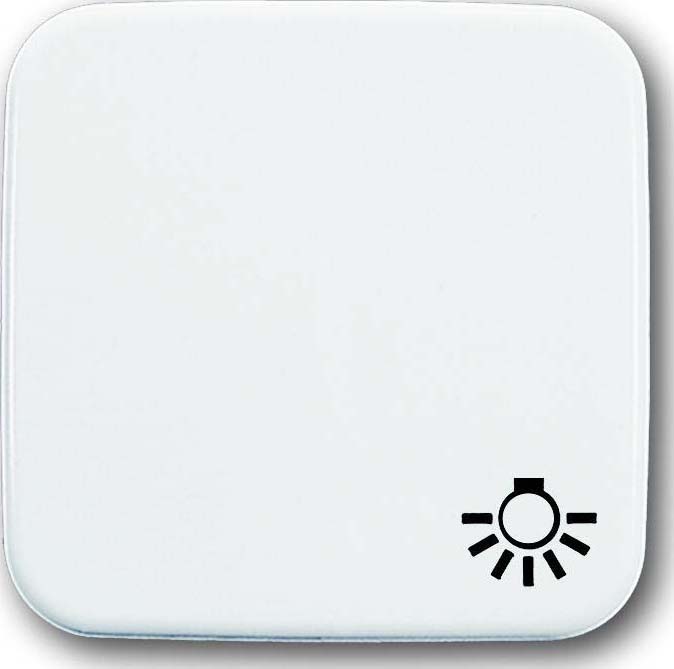 Busch-Jaeger Wippe aws mit Symbol Licht 2520 LI-214 - 2CKA001731A0934 günstig online kaufen