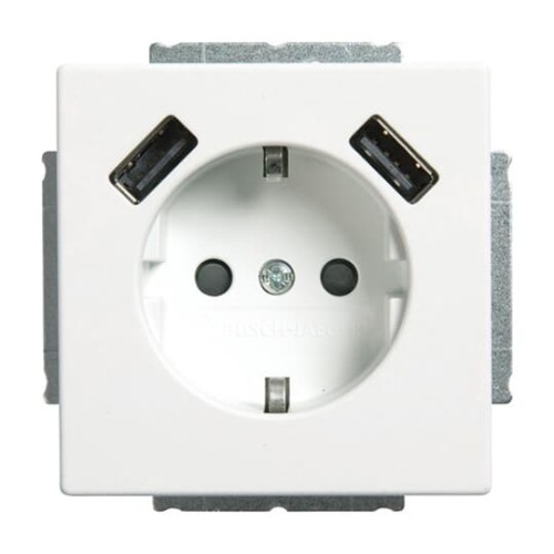 Busch-Jaeger SCHUKO-2x USB Steckdose 20 EUCB2USB-884 - 2CKA002011A6277 günstig online kaufen