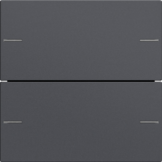 Gira Wippenset 2-fach Tastsensor Anthrazit 575228