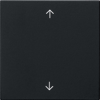 Gira Wippe 1-fach Schwarz 5389005